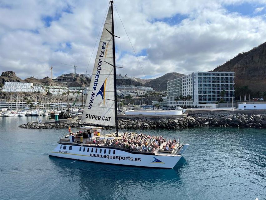 Puerto Rico de Gran Canaria: Premium Dolphin Catamaran Tour - Who will enjoy this catamaran most?