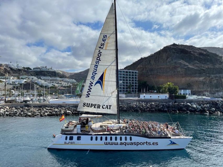 Puerto Rico de Gran Canaria: Premium Dolphin Catamaran Tour - Practical advice for a smoother day