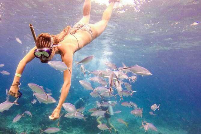 Punta Cana Catalina Island Catamaran Tour Package Deal - The $70 question: what value do you get?