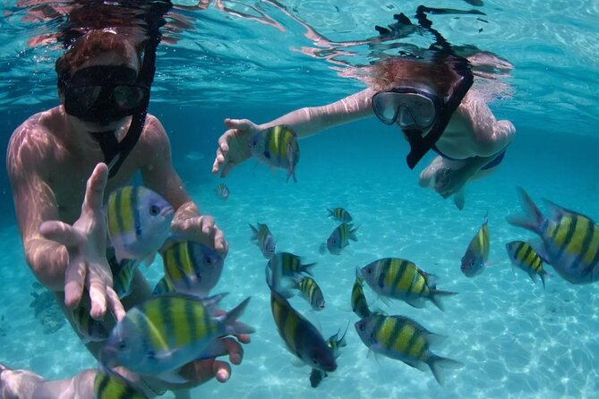 Punta Cana Catalina Island Catamaran Tour Package Deal - Snorkeling at The Wall