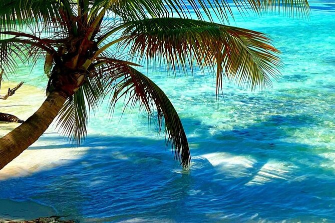 Punta Cana Catalina Island Catamaran Tour Package Deal - Who will enjoy this Catalina Island day?