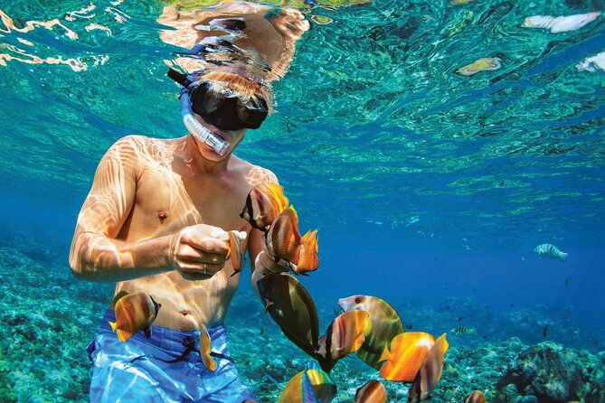 Punta Cana Catalina Island Catamaran Tour Package Deal - The 7:00 am pickup through sugarcane country