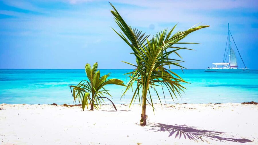 Punta Cana: Catamaran Boat to Saona Island with Buffet Lunch - Is $110 a Fair Price?