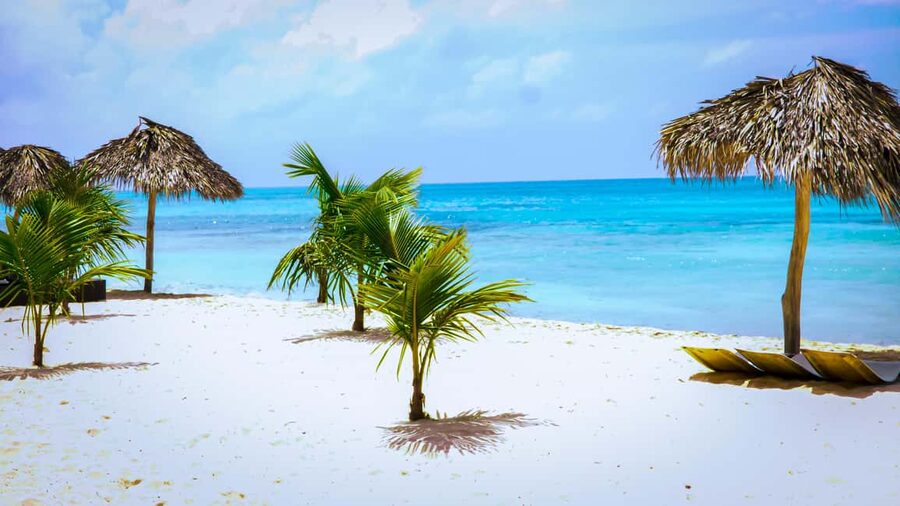 Punta Cana: Catamaran Boat to Saona Island with Buffet Lunch - Three and a Half Hours on Saona