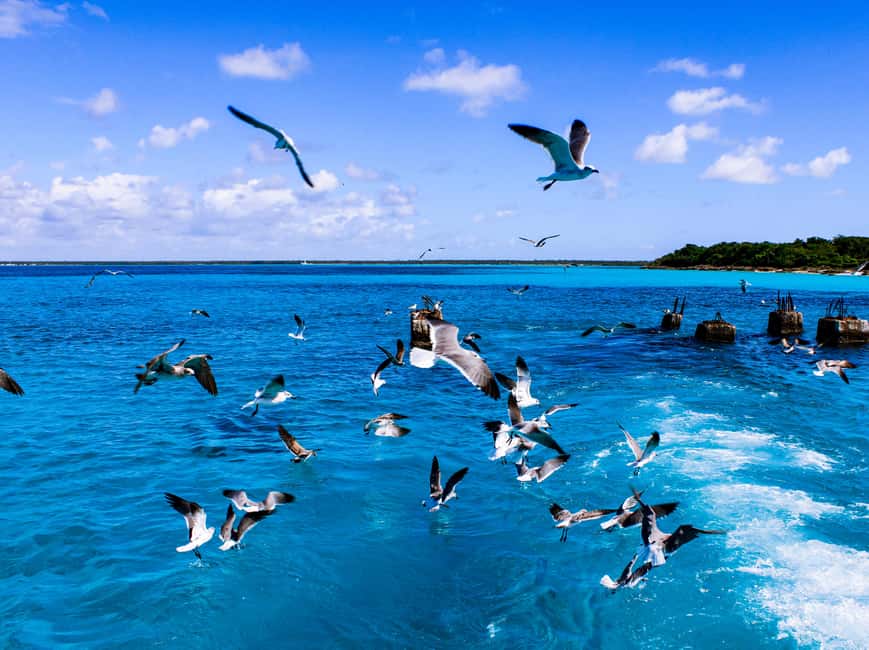 Punta Cana: Catamaran Boat to Saona Island with Buffet Lunch - Price, Timing, and Overall Value