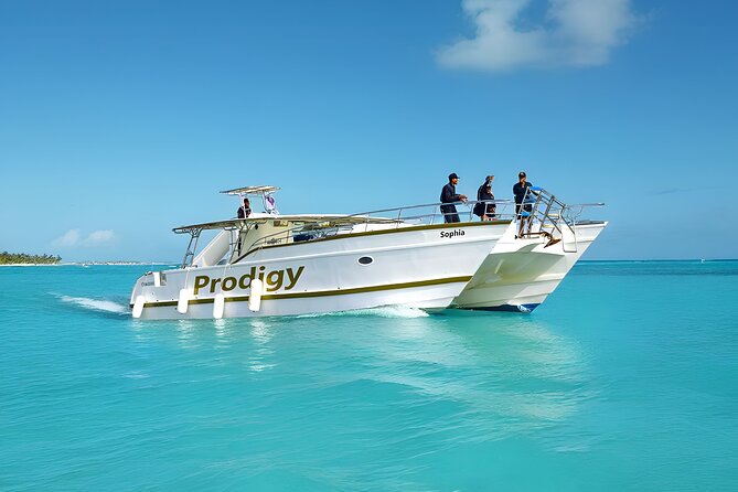 Punta Cana Catamaran Private Tour with BBQ and Natural Pool - Key points to know before booking