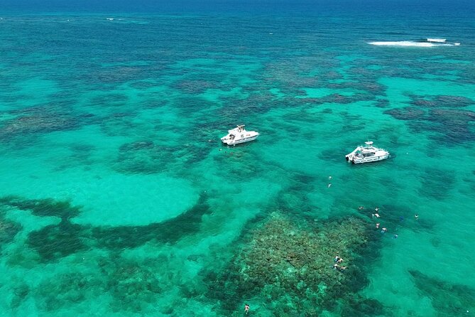 Punta Cana: Catamaran Tour, Reef Snorkeling and Unlimited Drinks! - Key things to know before booking