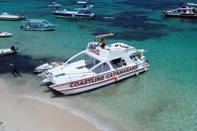 Punta Cana: Catamaran Tour, Reef Snorkeling and Unlimited Drinks! - A beach stop with time to slow down