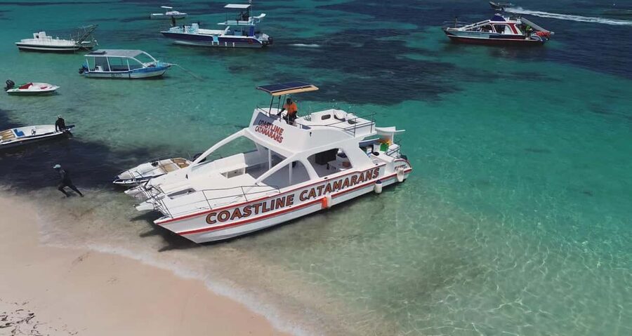 Punta Cana: Catamaran Tour with Reef Snorkeling and Open Bar - What the $74 price really covers