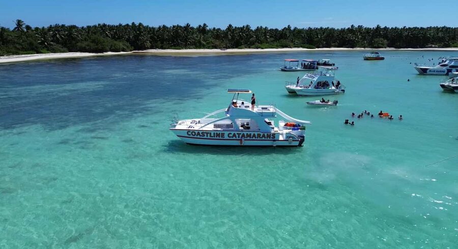 Punta Cana: Catamaran Tour with Reef Snorkeling and Open Bar - Reef snorkeling with tropical fish