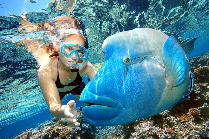 Punta Cana Combo Tour: Snorkeling, Catamaran Cruise & Parasailing - Key details before you book