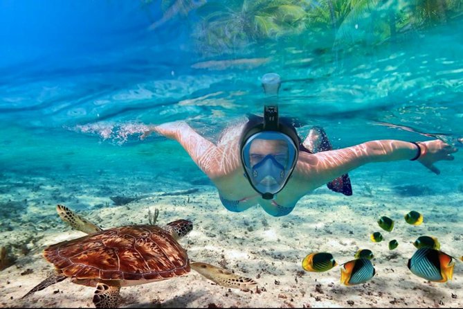 Punta Cana Combo Tour: Snorkeling, Catamaran Cruise & Parasailing - Is $149 a fair price?