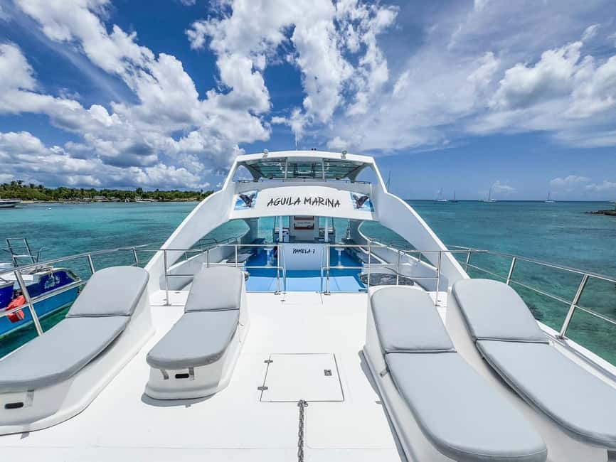 Punta Cana: Exclusive Private Catamaran Tour to Saona Island – VIP Service - Palmilla Natural Pool and its starfish