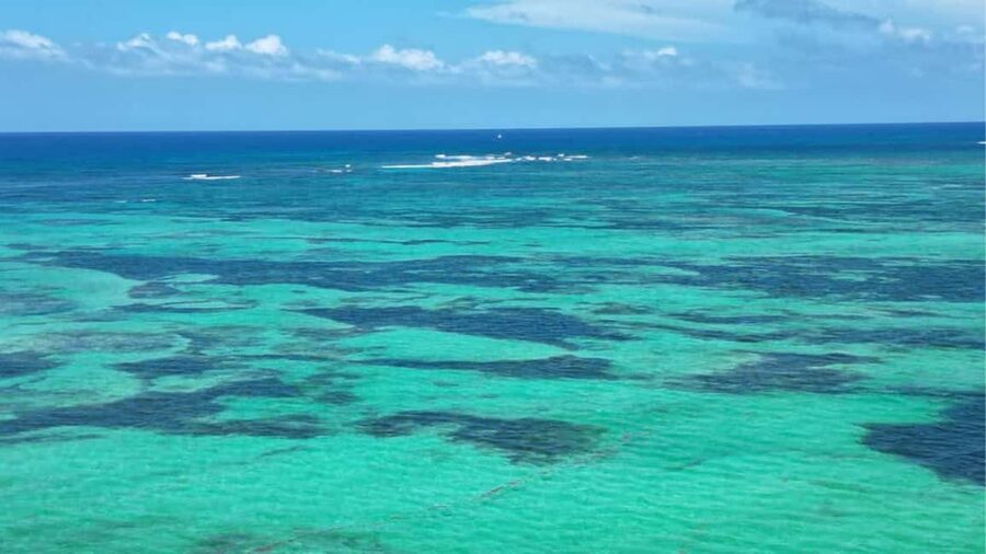 Punta Cana: Exclusive Private Catamaran Tour to Saona Island – VIP Service - Who will enjoy this day most