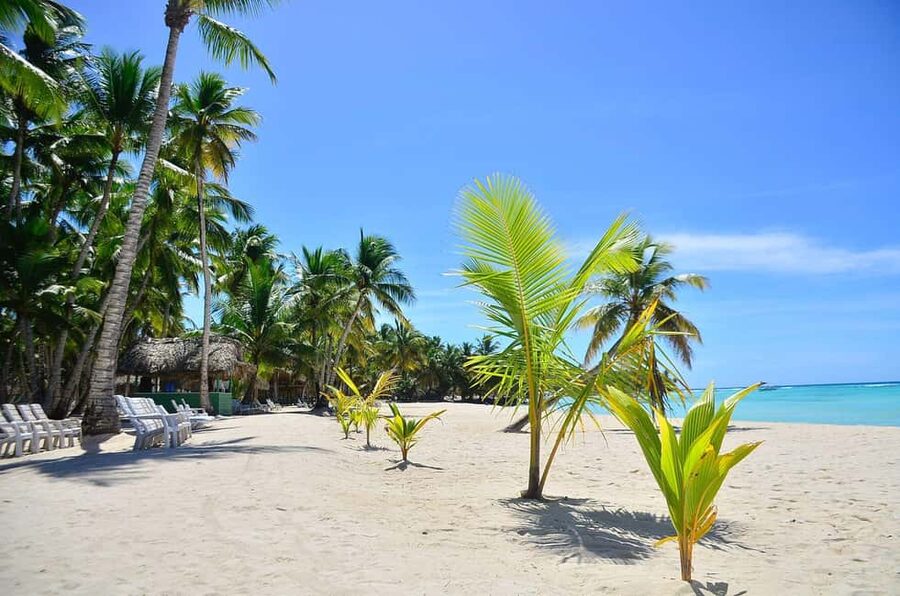 Punta cana: Island Escape to Saona • catamaran & Beach lunch - Why Saona makes such a good day trip
