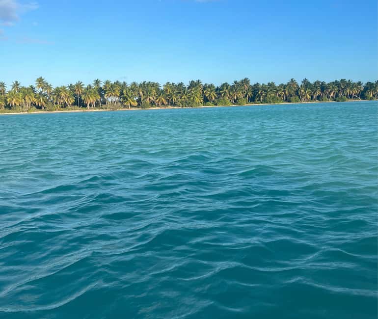 Punta cana: Island Escape to Saona • catamaran & Beach lunch - The catamaran ride turns the return into a party