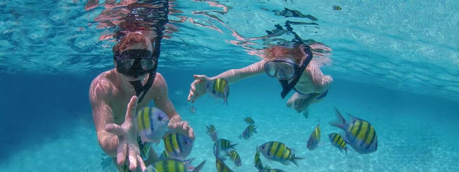 Punta Cana Private Catamaran (Small Group) - Guides, service, and the personal touch