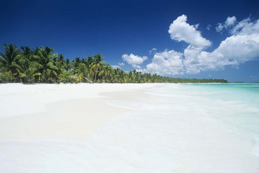 Punta Cana: Saona Island Catamaran Adventure with Lunch - Why Saona Island is worth the long day