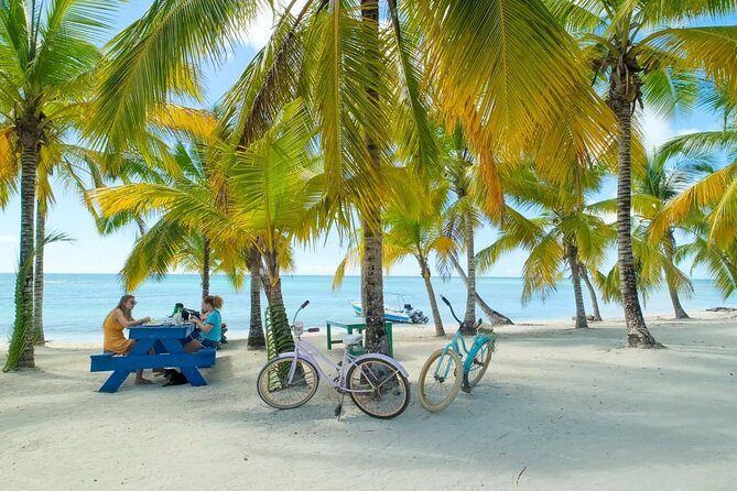 Punta Cana: Saona Island Catamaran Open Bar / Food Hotel Pickup - Key Points Before You Book
