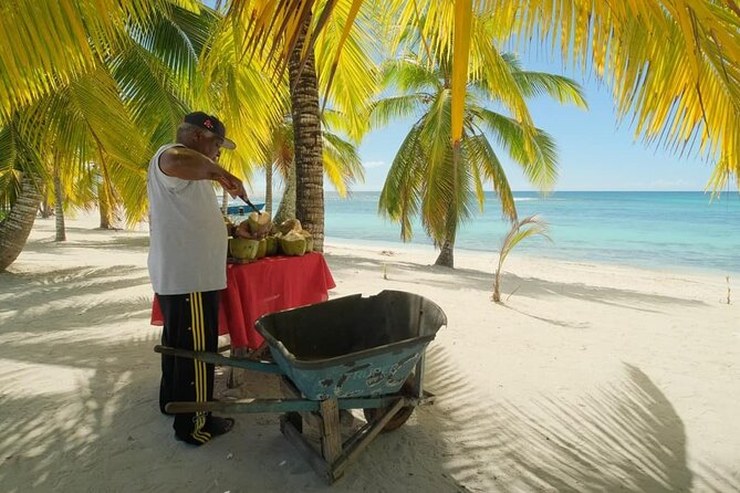 Punta Cana: Saona Island Catamaran Open Bar / Food Hotel Pickup - Saona Island Beach Time Around 10:30 a.m.
