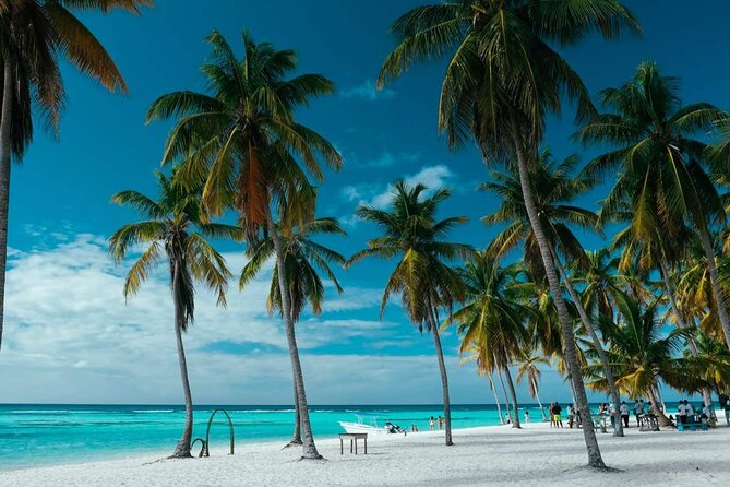 Punta Cana: Saona Island Catamaran Open Bar / Food Hotel Pickup - Communication and Service Can Shape the Day