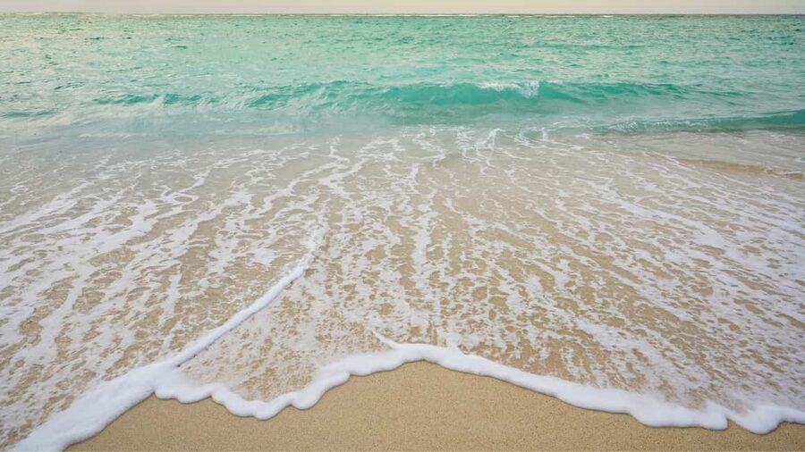 Punta Cana: Saona Island Catamaran Tour with Food & Open Bar - What the $67 price really buys