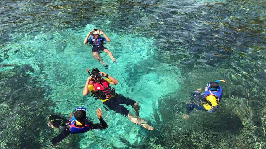 Punta Cana: Saona Island Catamaran Tour with Food & Open Bar - Who will enjoy this day most