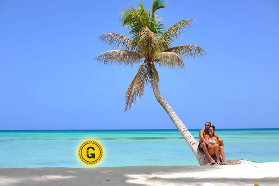Punta Cana: Saona Island Day Tour and Catamaran Party - Why Saona Island is worth the long day