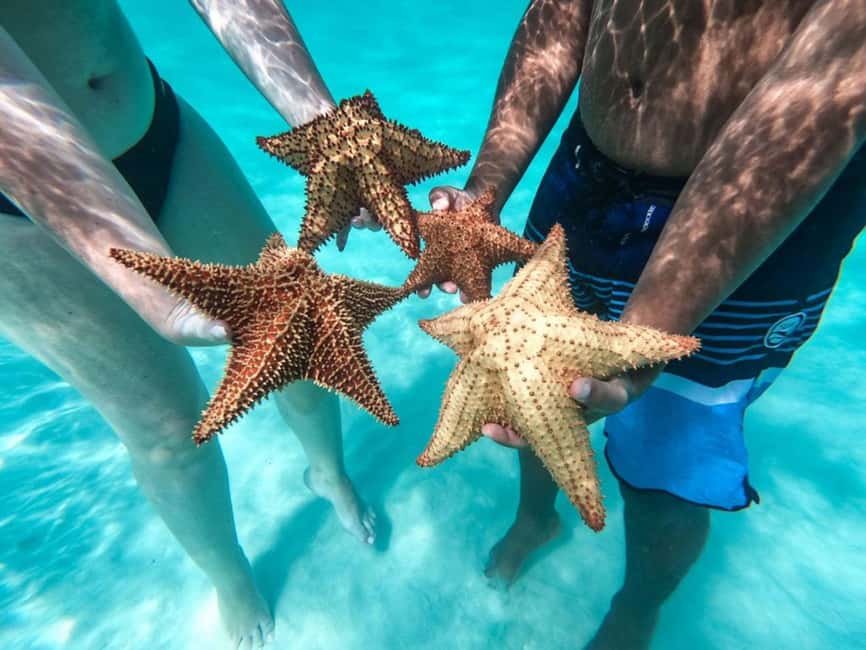 Punta Cana: Saona Island Day Tour and Catamaran Party - Practical tips for a better day