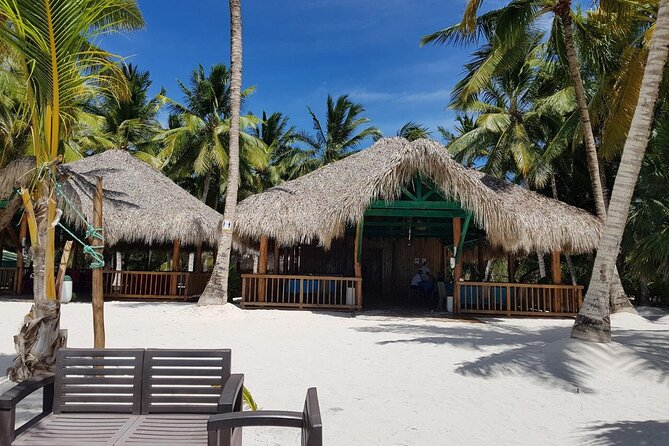 Punta Cana: Saona Island Food And Drink Catamaran Hotel Pickup - What to bring and how to plan the day
