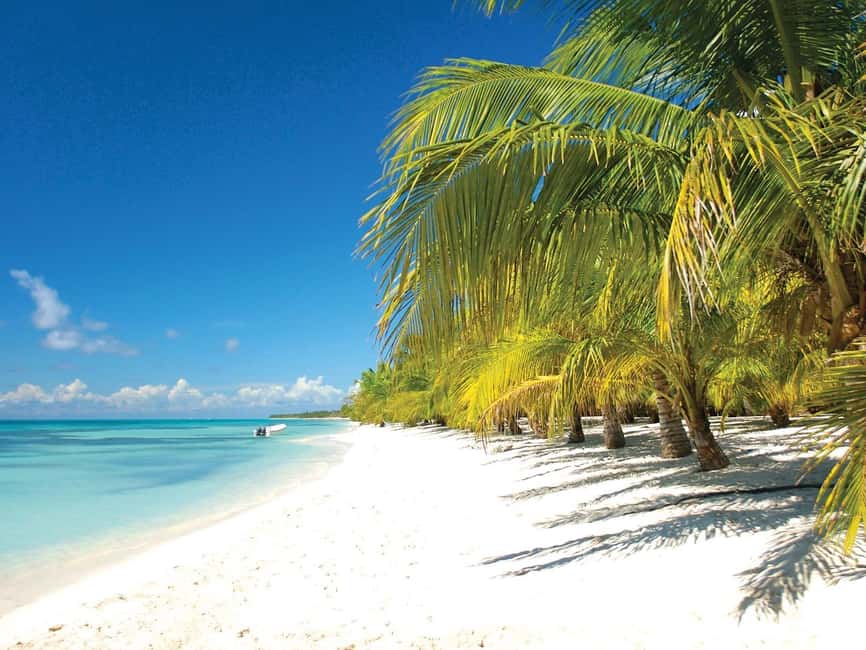 Punta Cana: Saona Island Speedboat and Catamaran Tour - From your hotel to Bayahibe