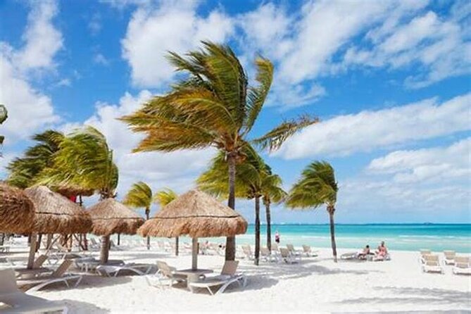 Punta Cana: Saône Island in Catamaran, Small Groups, With Food - Lunch, an Open Bar, and National Drinks