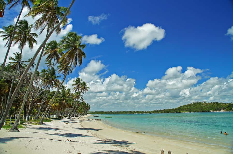 Recife: Tour to Carneiros with Catamaran Ride - Leaving Recife for Carneiros Beach
