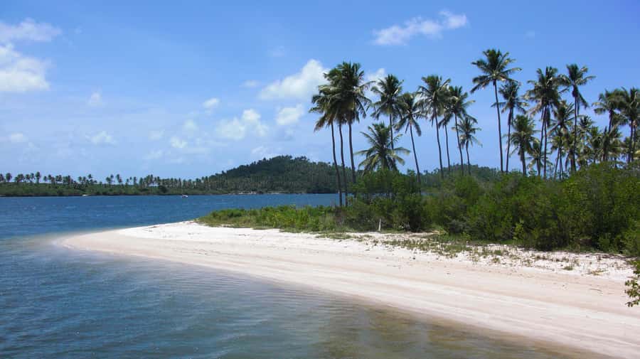 Recife: Tour to Carneiros with Catamaran Ride - Seeing the coast from a catamaran