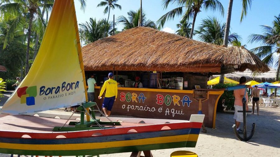 Recife: Tour to Carneiros with Catamaran Ride - Who should book this Carneiros excursion?