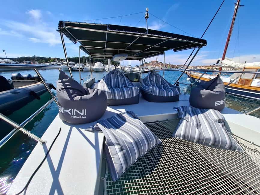 Rovinj: Sunset & dolphin group tours with Catamaran - Searching for dolphins in the Adriatic