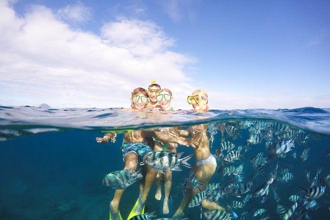 Sailing Catamaran Cruises - Quick facts about the Madiana cruise