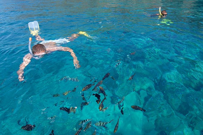 Sailing Catamaran Cruises - Benetier Island and time on shore