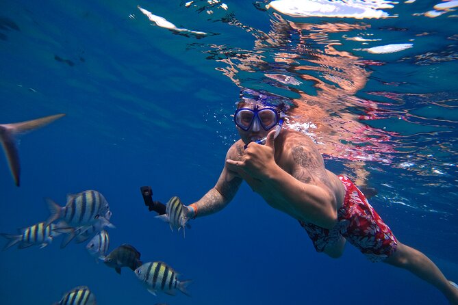 Sailing Catamaran Excursion - Three snorkeling stops around Sosua