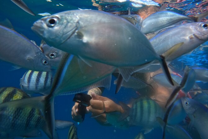 Sailing Catamaran Excursion - The catamaran ride and onboard mood