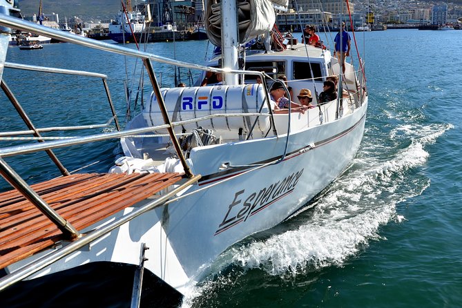 Sailing in The Bay by Catamaran (One Hour) - Timing, delays, and how to plan your day