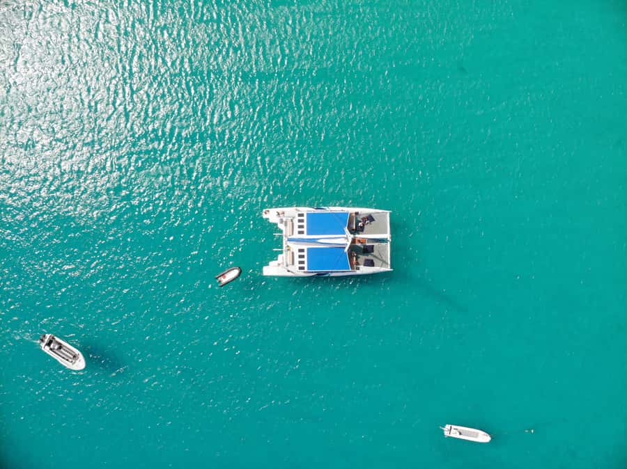 Sal: All-Inclusive Half-Day Lounge Catamaran Cruise - Key points to know before booking