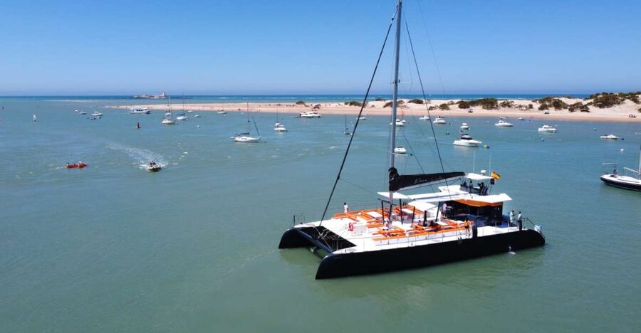 Sancti Petri: Catamaran Cruise with Swim Stop and lunch - Leaving from the Port of Sancti Petri