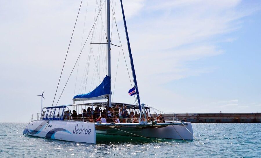 Santa Maria: Sal Island All-inclusive Adults-only Catamaran - Drinks, Snacks, and the Cava Toast