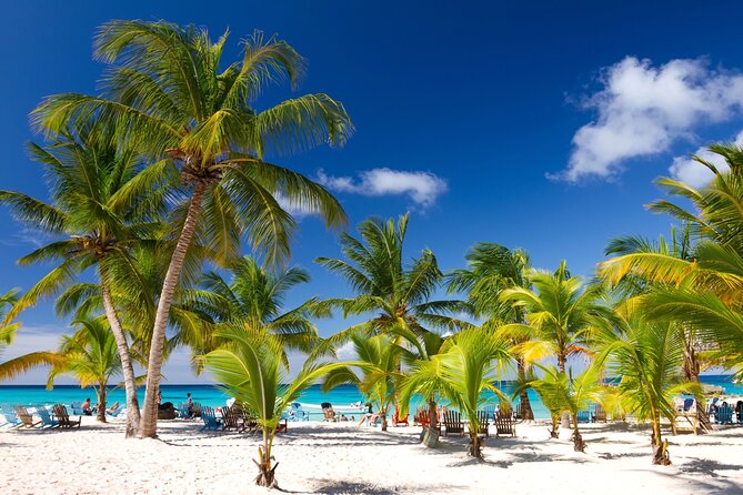 Saona Catamaran Cruise with Lunch and Natural Swimming Pool - Key Points to Know Before You Book