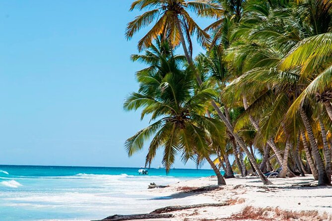 Saona Catamaran Cruise with Lunch and Natural Swimming Pool - What the $75 Price Really Buys You