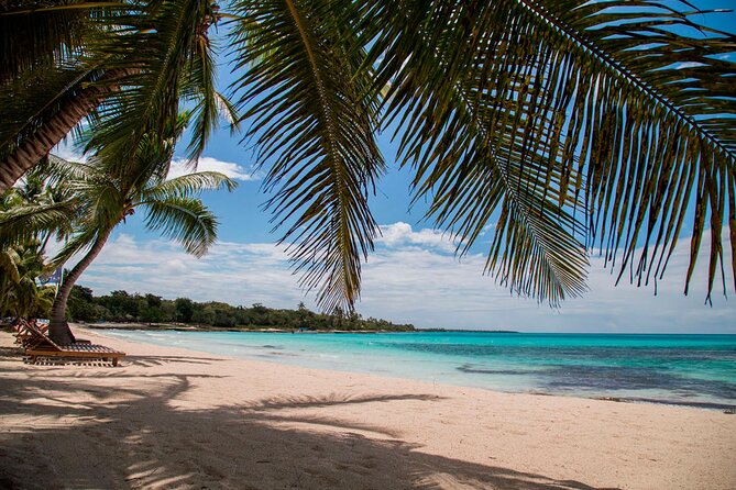 Saona Catamaran Cruise with Lunch and Natural Swimming Pool - Who Will Enjoy This Saona Trip Most