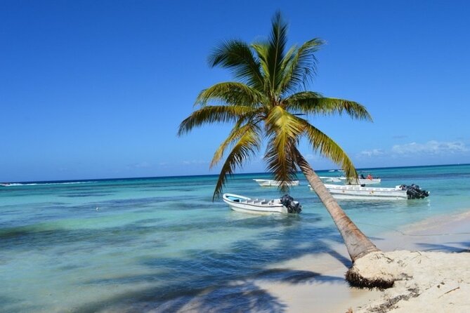 Saona Catamaran Cruise with Lunch and Natural Swimming Pool - Leaving Punta Cana for Bayahibe
