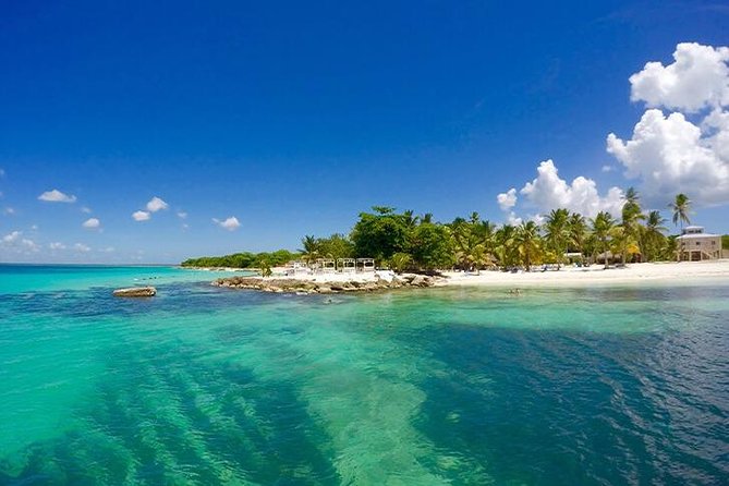 Saona Island Catamaran Cruise Experience (All Inclusive) - Starting at 8:00 am from Punta Cana