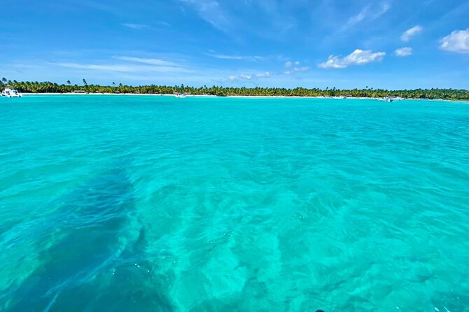 Saona Island Catamaran Cruise Experience (All Inclusive) - Snorkeling and the natural ocean pool
